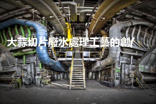 大蒜切片廢水處理工藝的創(chuàng)新與未來？